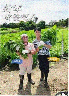 声浪现场 综艺海报